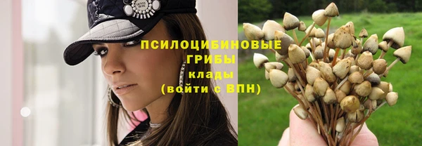 герыч Арсеньев