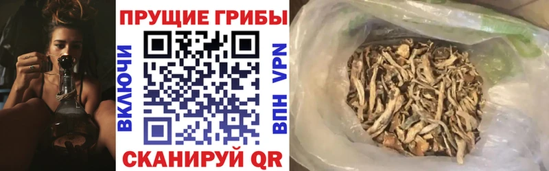 купить  цена  Козельск  ОМГ ОМГ ссылки  Галлюциногенные грибы GOLDEN TEACHER 